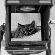 ヒメ日記 2025/12/19 23:21 投稿 さえこ セレブクエスト-Nishikawa-