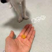 ヒメ日記 2026/01/07 00:06 投稿 松本あやか 渋谷エオス