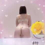 ヒメ日記 2026/02/20 12:30 投稿 松本あやか 渋谷エオス