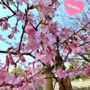 ヒメ日記 2026/02/28 12:20 投稿 松本あやか 渋谷エオス