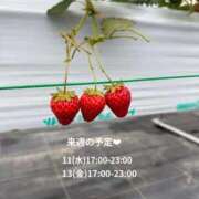 松本あやか 予定変更 渋谷エオス