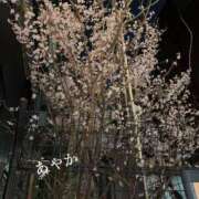 松本あやか ありがとう♡ 渋谷エオス