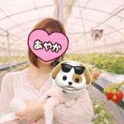 ヒメ日記 2026/03/22 10:00 投稿 松本あやか 渋谷エオス