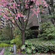 ヒメ日記 2026/03/26 23:30 投稿 松本あやか 渋谷エオス