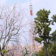 ヒメ日記 2026/03/31 21:20 投稿 松本あやか 渋谷エオス