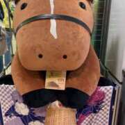 ヒメ日記 2025/12/14 00:00 投稿 のりこ 奥鉄オクテツ神奈川店（デリヘル市場グループ）