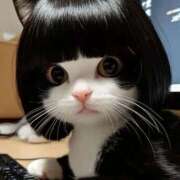 ヒメ日記 2026/02/10 00:14 投稿 さえこ セレブクエスト-Kawagoe-