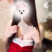 ヒメ日記 2025/12/18 17:22 投稿 なぎさ アオハル学園