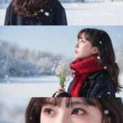 ヒメ日記 2025/11/30 15:44 投稿 ぷりん PHANTOM(ファントム)