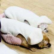 ヒメ日記 2025/12/18 10:47 投稿 ななせ ママれもん錦糸町店