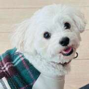 ヒメ日記 2025/12/20 21:47 投稿 ななせ ママれもん錦糸町店