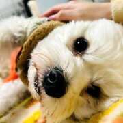 ヒメ日記 2025/12/20 21:57 投稿 ななせ ママれもん錦糸町店