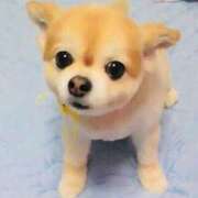 ヒメ日記 2025/12/22 19:27 投稿 ななせ ママれもん錦糸町店