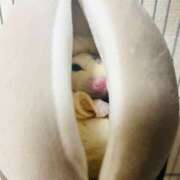 ヒメ日記 2025/12/22 19:47 投稿 ななせ ママれもん錦糸町店