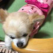 ヒメ日記 2025/12/27 18:37 投稿 ななせ ママれもん錦糸町店