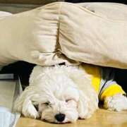 ヒメ日記 2025/12/30 05:17 投稿 ななせ ママれもん錦糸町店