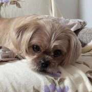 ヒメ日記 2025/12/30 18:47 投稿 ななせ ママれもん錦糸町店