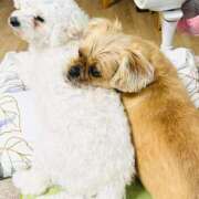 ヒメ日記 2025/12/31 09:37 投稿 ななせ ママれもん錦糸町店