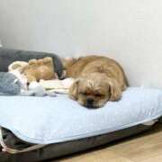 ヒメ日記 2026/01/01 23:17 投稿 ななせ ママれもん錦糸町店