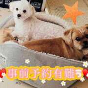 ヒメ日記 2026/01/04 10:07 投稿 ななせ ママれもん錦糸町店