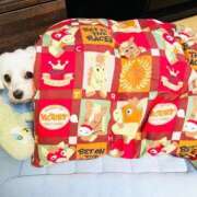 ヒメ日記 2026/01/07 12:17 投稿 ななせ ママれもん錦糸町店