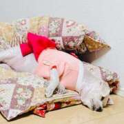 ななせ 幸せな犬吸い時間…♥️ ママれもん錦糸町店