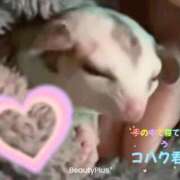 ヒメ日記 2026/01/27 09:57 投稿 ななせ ママれもん錦糸町店