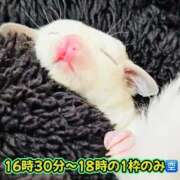 ヒメ日記 2026/02/03 16:47 投稿 ななせ ママれもん錦糸町店