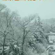 ヒメ日記 2026/02/08 14:17 投稿 ななせ ママれもん錦糸町店