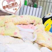 ヒメ日記 2026/02/13 20:57 投稿 ななせ ママれもん錦糸町店