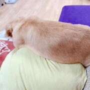 ヒメ日記 2026/02/14 18:57 投稿 ななせ ママれもん錦糸町店