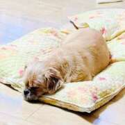 ヒメ日記 2026/02/16 08:57 投稿 ななせ ママれもん錦糸町店