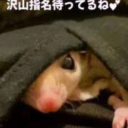 ヒメ日記 2026/02/18 12:07 投稿 ななせ ママれもん錦糸町店