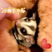 ななせ 一日の終わりに…♥️ ママれもん錦糸町店