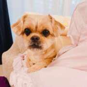 ヒメ日記 2026/03/14 17:57 投稿 ななせ ママれもん錦糸町店