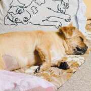 ヒメ日記 2026/03/15 22:47 投稿 ななせ ママれもん錦糸町店