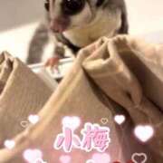 ヒメ日記 2026/03/30 08:17 投稿 ななせ ママれもん錦糸町店