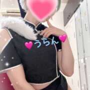 ヒメ日記 2025/12/17 02:52 投稿 うらん 綺麗＆kirei