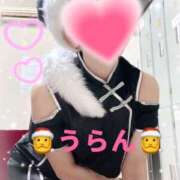 ヒメ日記 2025/12/24 16:29 投稿 うらん 綺麗＆kirei