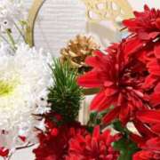 ヒメ日記 2025/12/30 15:30 投稿 うらん 綺麗＆kirei