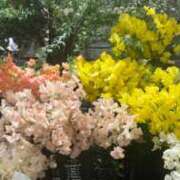 ヒメ日記 2026/01/29 14:00 投稿 うらん 綺麗＆kirei