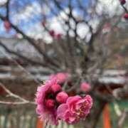 ヒメ日記 2026/02/27 08:00 投稿 うらん 綺麗＆kirei