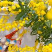 ヒメ日記 2026/03/05 10:00 投稿 うらん 綺麗＆kirei