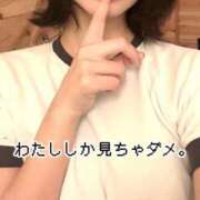 早川れな 🧡10-15時🧡 ハマヘル同好会（横浜ハレ系）