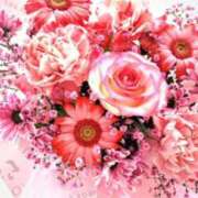 ヒメ日記 2026/03/03 19:16 投稿 ゆり 綺麗＆kirei