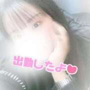 ヒメ日記 2025/12/10 18:19 投稿 ナツメ【FG系列】 デリぽちゃin柏（FG系列）