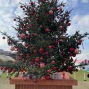 ヒメ日記 2025/12/09 12:16 投稿 のの 綺麗＆kirei