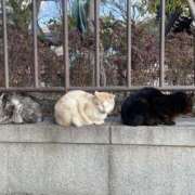 ヒメ日記 2026/01/07 07:43 投稿 のの 綺麗＆kirei