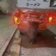 ヒメ日記 2026/03/19 12:09 投稿 のの 綺麗＆kirei