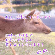 ヒメ日記 2026/04/11 12:49 投稿 のの 綺麗＆kirei